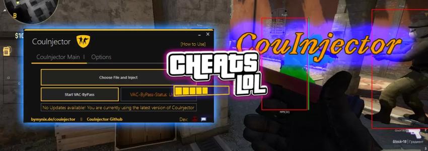 CouInjector Для CS:GO